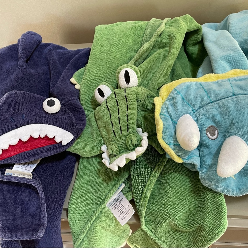 Pottery Barn Kids Hooded Towels-Set of 3